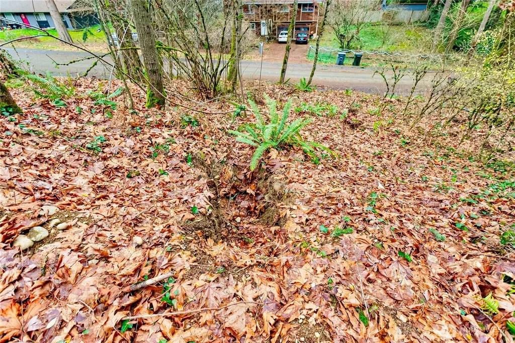 20508 40th Avenue Ct E Spanaway WA 98387