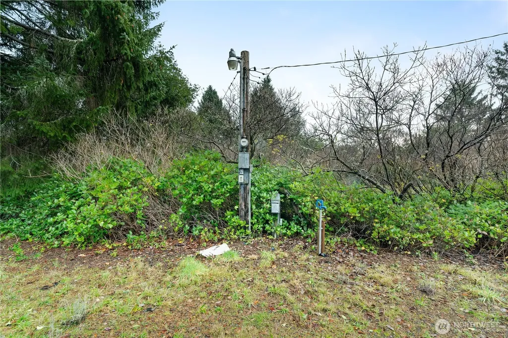 158 N Narwhal Loop NW Ocean Shores WA 98569
