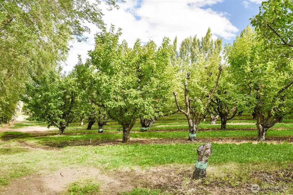 715 Garden Lane Dallesport WA 98617