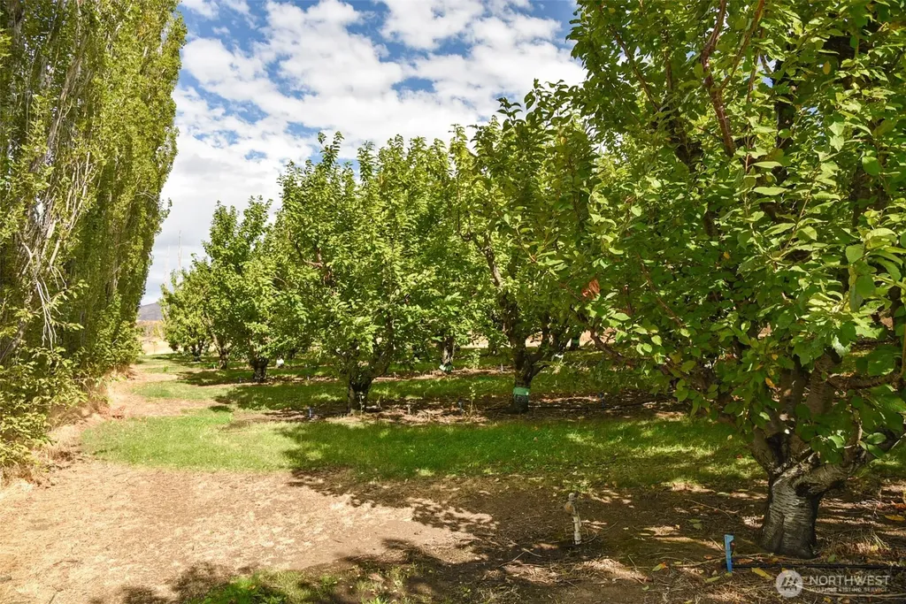 715 Garden Lane Dallesport WA 98617