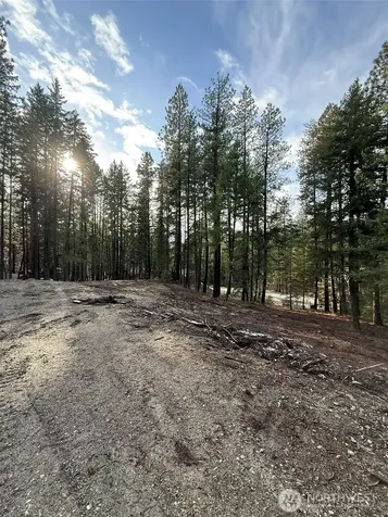 22125 Appaloosa Lane Leavenworth WA 98826