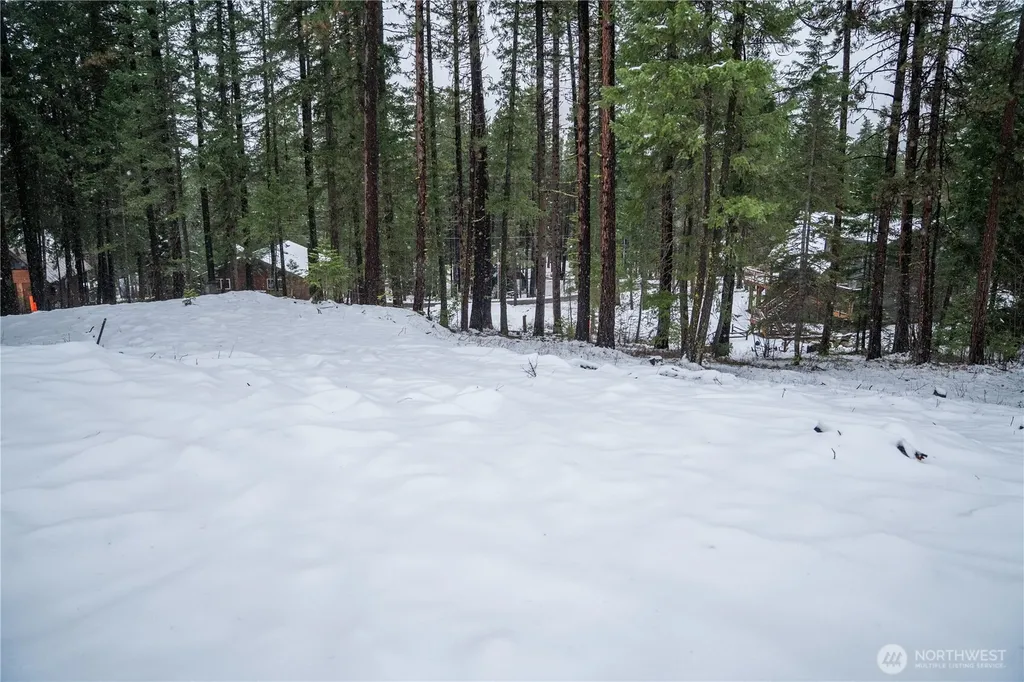22124 Appaloosa Lane Leavenworth WA 98826