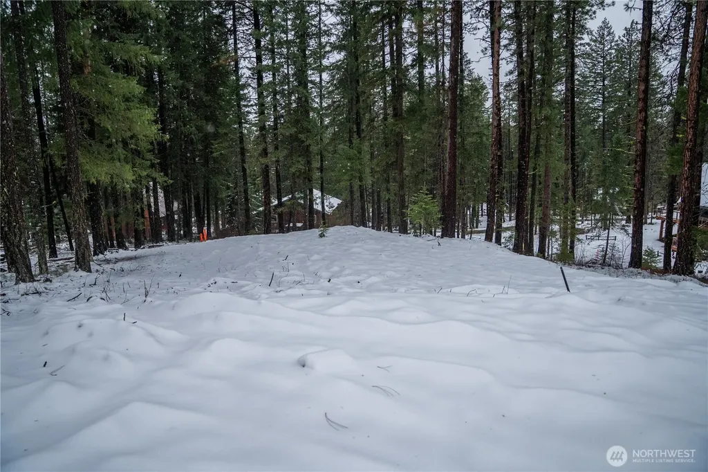 22124 Appaloosa Lane Leavenworth WA 98826
