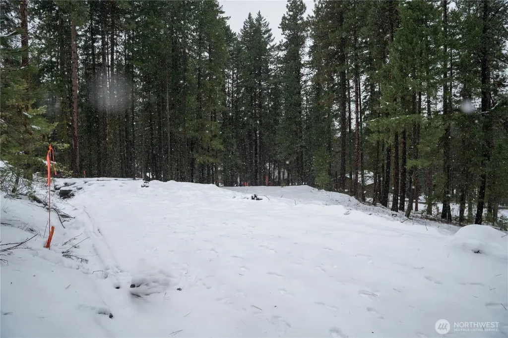 22124 Appaloosa Lane Leavenworth WA 98826