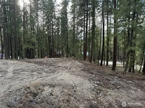 22124 Appaloosa Lane Leavenworth WA 98826