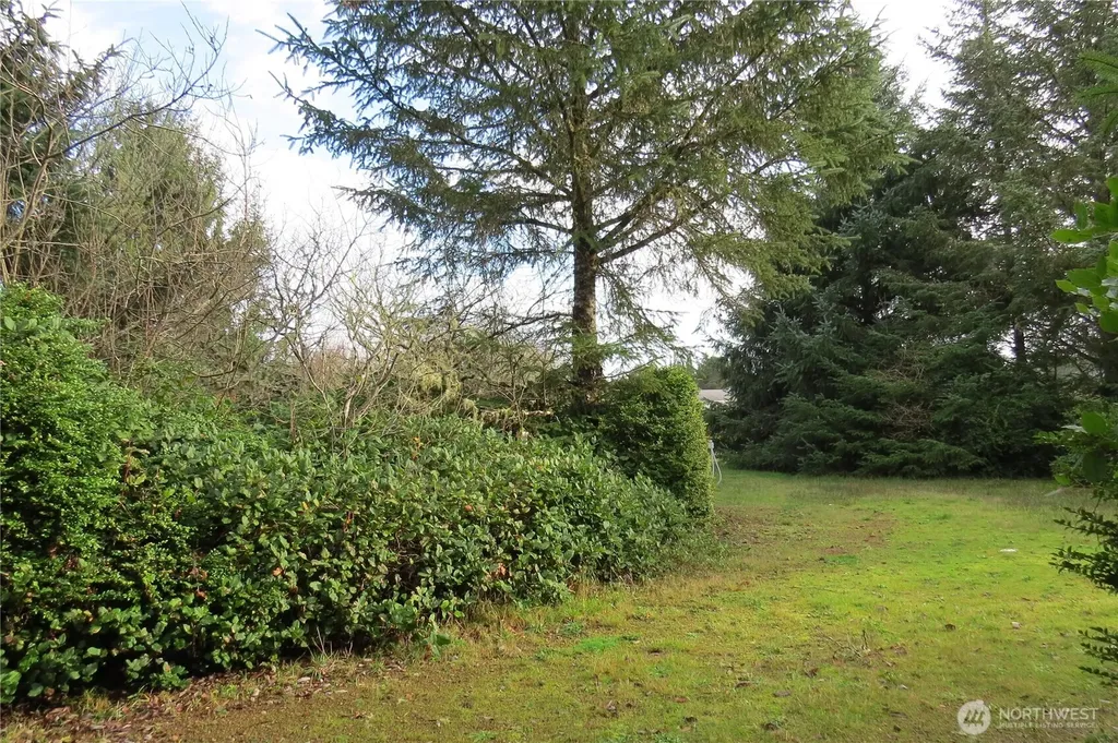 636 Weatherwax Loop NE Ocean Shores WA 98569