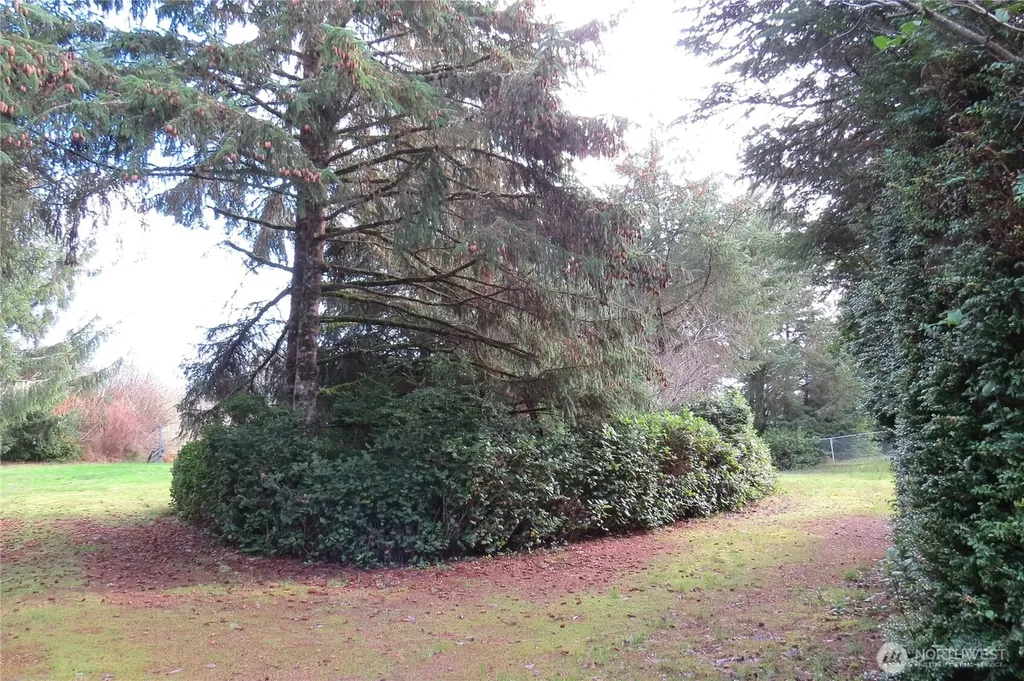 636 Weatherwax Loop NE Ocean Shores WA 98569