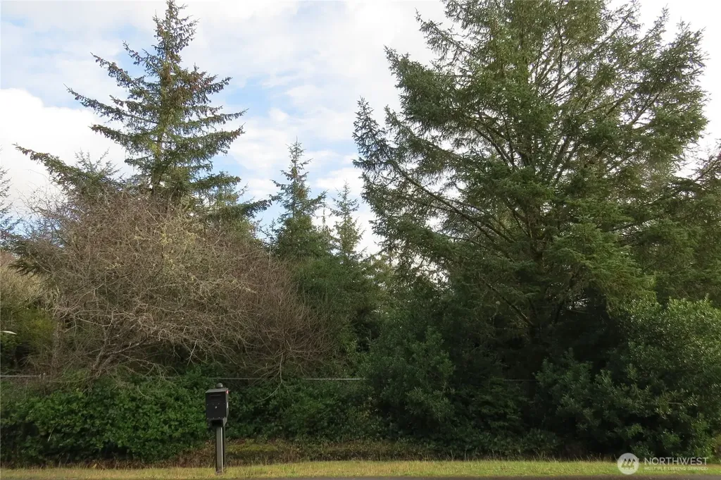 636 Weatherwax Loop NE Ocean Shores WA 98569