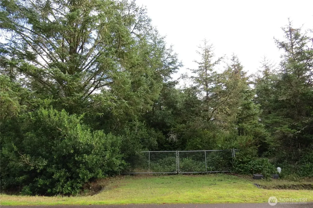636 Weatherwax Loop NE Ocean Shores WA 98569