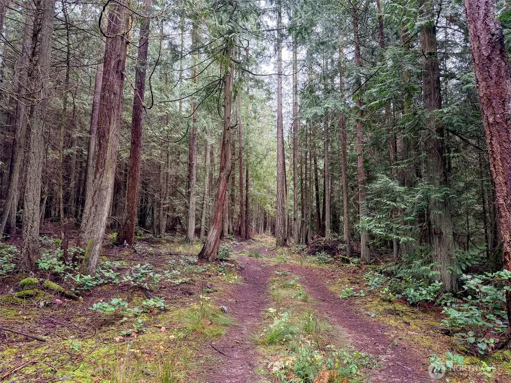 9999 Protection Ridge Road Port Townsend WA 98368
