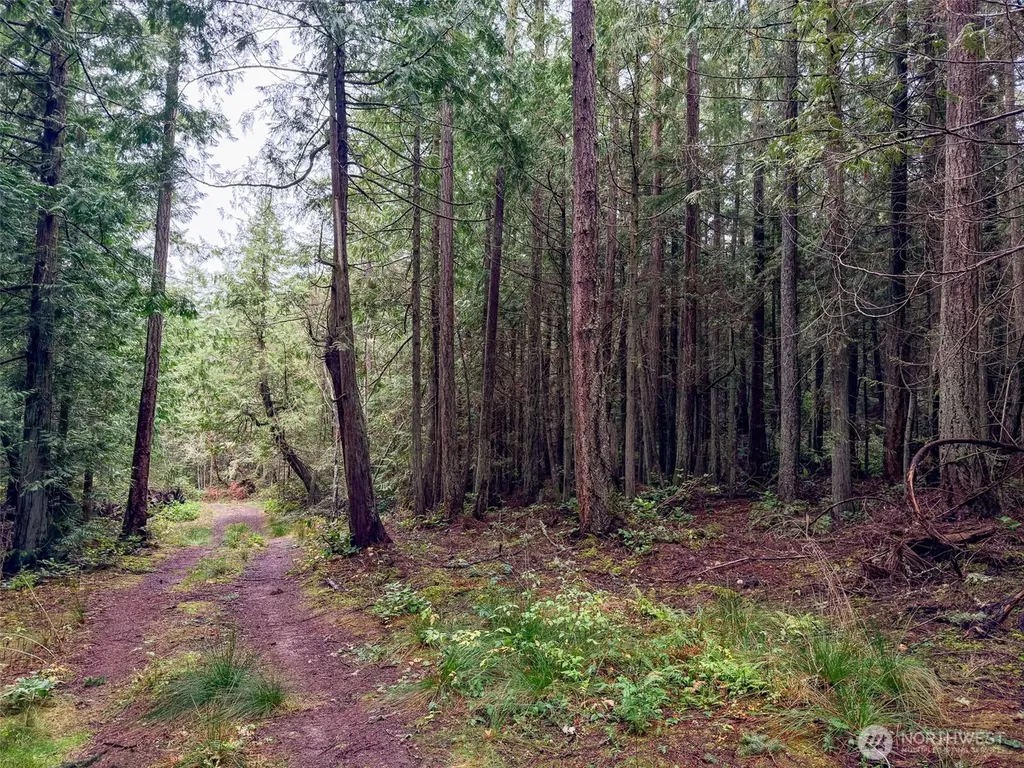 9999 Protection Ridge Road Port Townsend WA 98368
