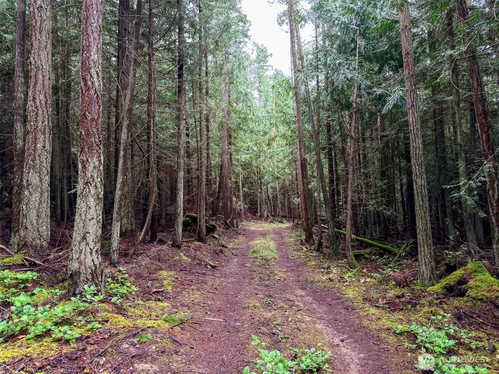 9999 Protection Ridge Road Port Townsend WA 98368