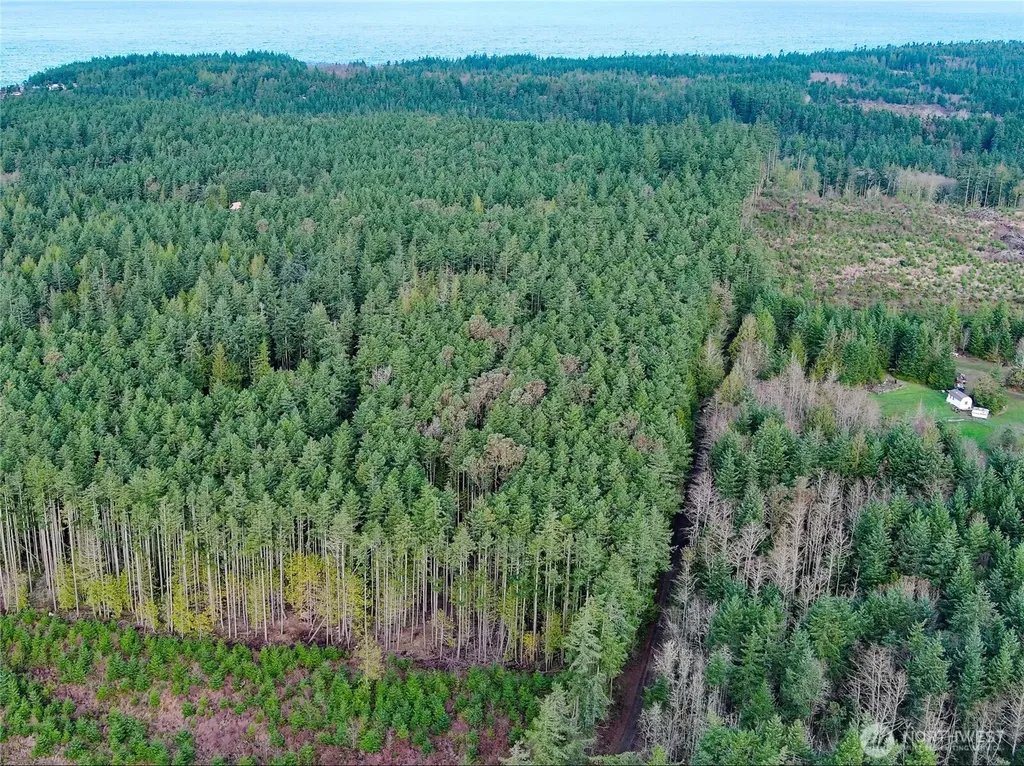 9999 Protection Ridge Road Port Townsend WA 98368