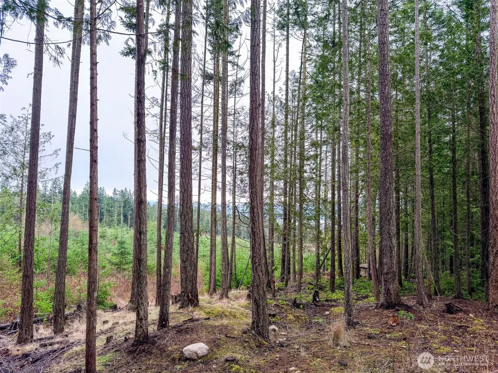 9999 Protection Ridge Road Port Townsend WA 98368