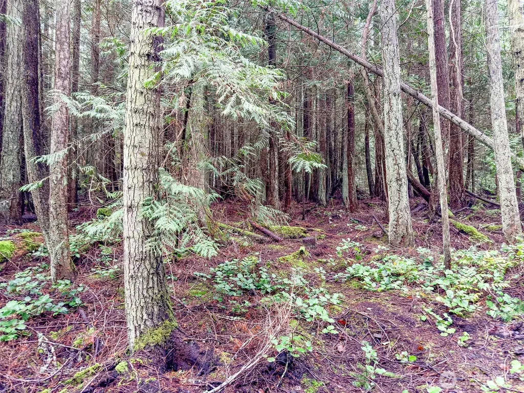 9999 Protection Ridge Road Port Townsend WA 98368