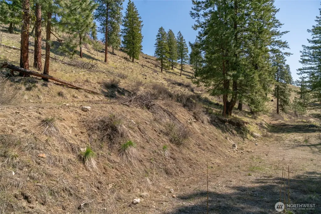 0 Granite Creek Chelan WA 98816