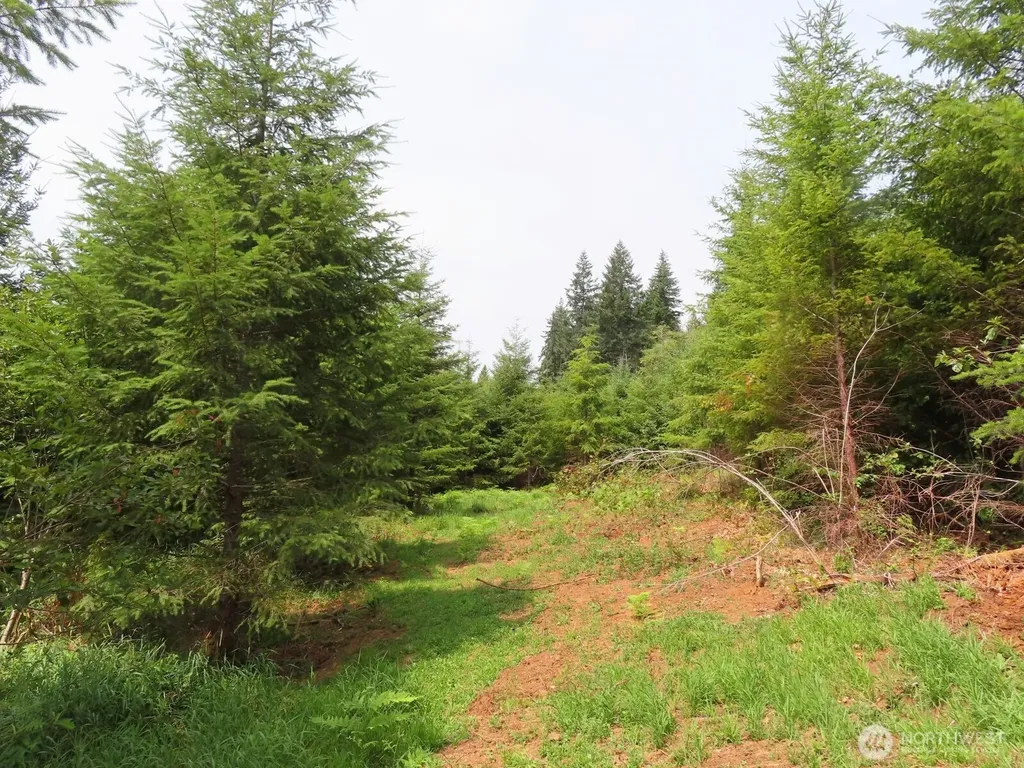 0 Mill Creek Lane Longview WA 98632