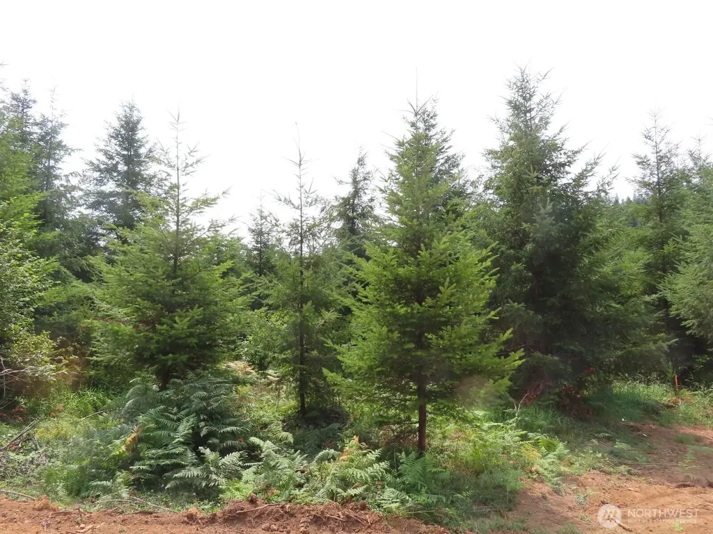 0 Mill Creek Lane Longview WA 98632
