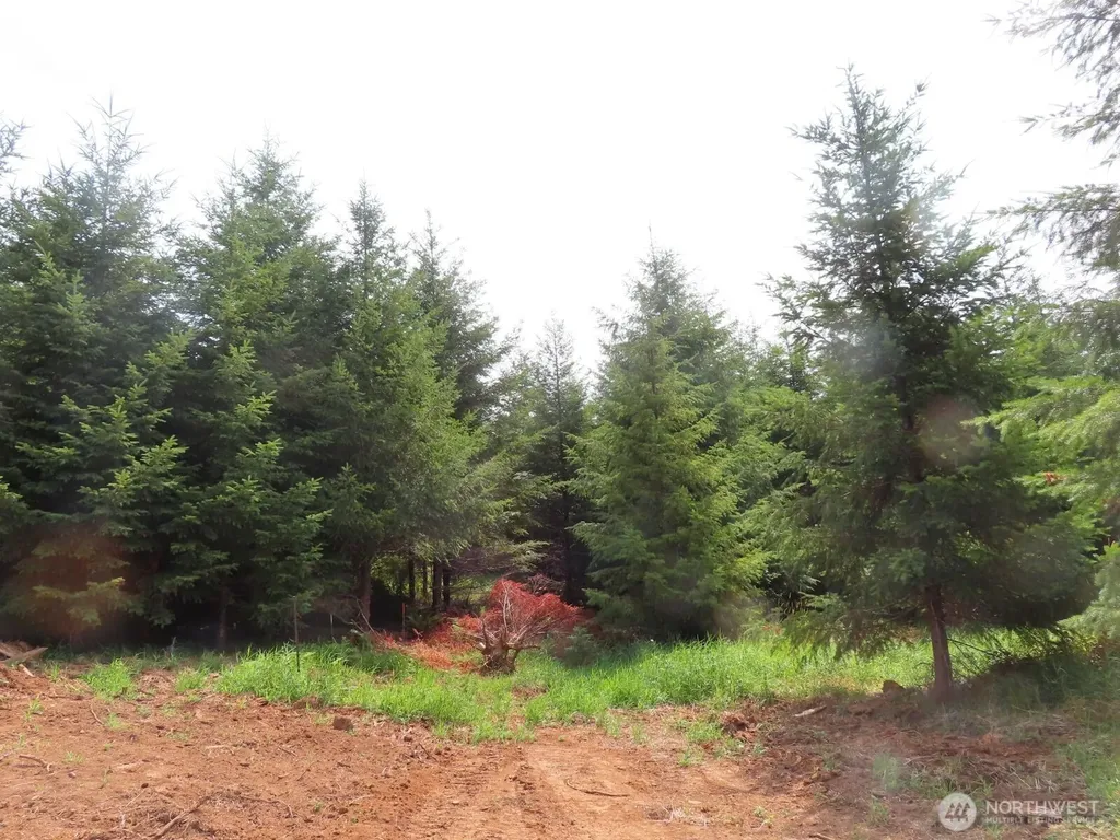0 Mill Creek Lane Longview WA 98632