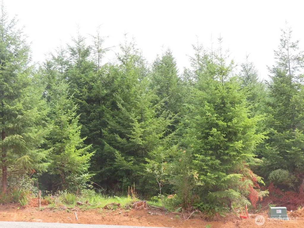 0 Mill Creek Lane Longview WA 98632