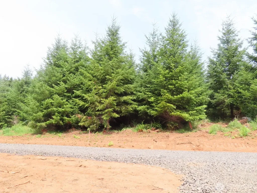 0 Mill Creek Lane Longview WA 98632