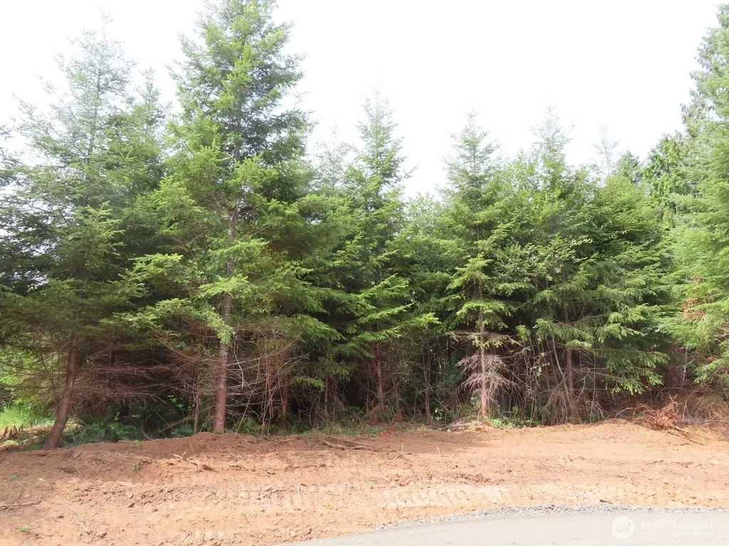 0 Mill Creek Lane Longview WA 98632