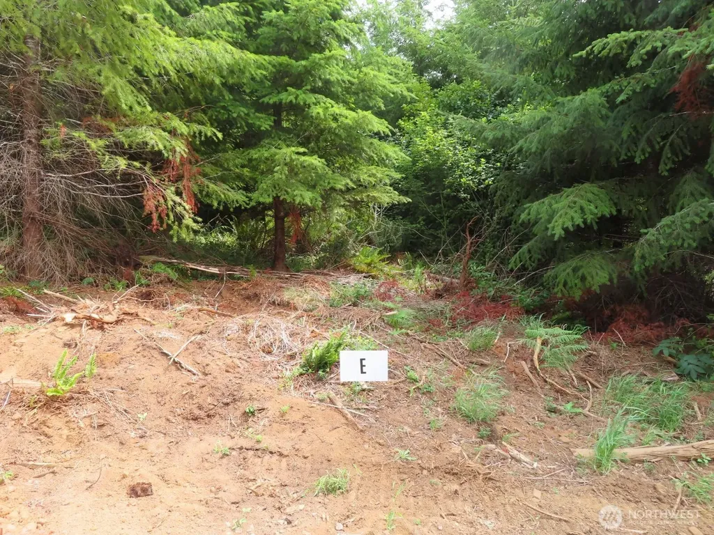 0 Mill Creek Lane Longview WA 98632
