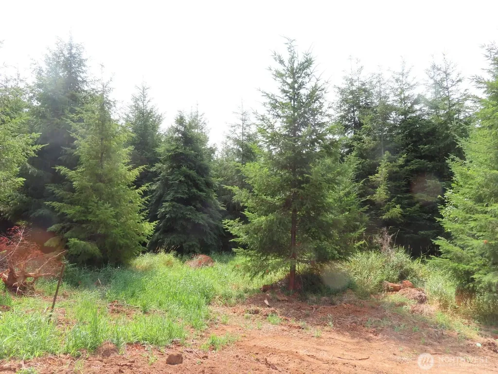 0 Mill Creek Lane Longview WA 98632