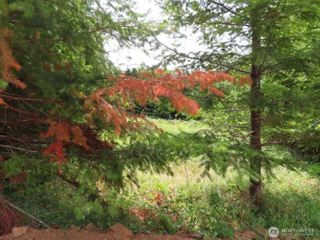 0 Mill Creek Lane Longview WA 98632