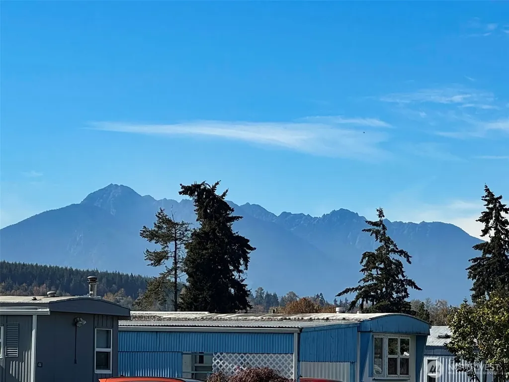 491 Mill Road Sequim WA 98382