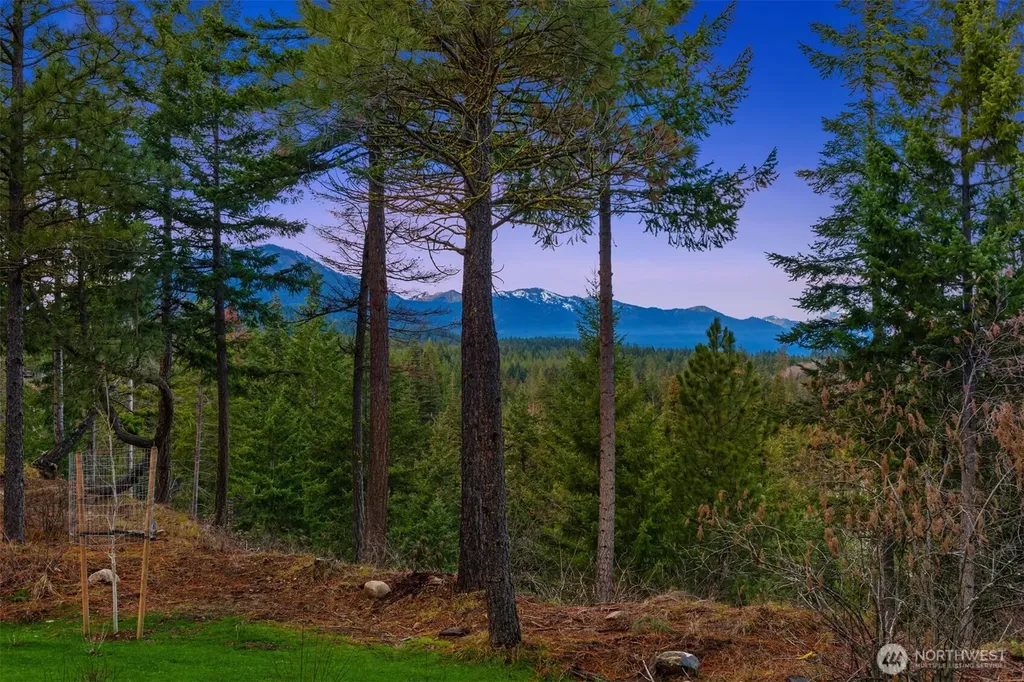 831 Gold Leaf Lane Cle Elum WA 98922