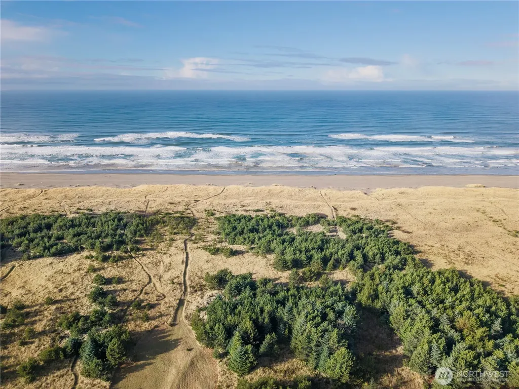 1011 N 231st Lane Ocean Park WA 98640