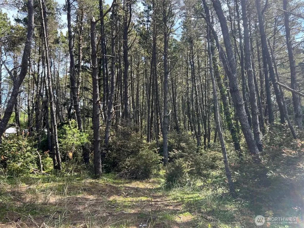 1011 N 231st Lane Ocean Park WA 98640