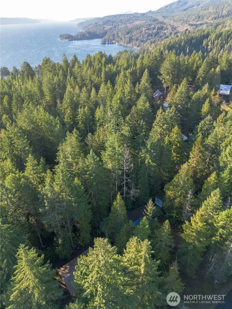 120 King Drive Brinnon WA 98320