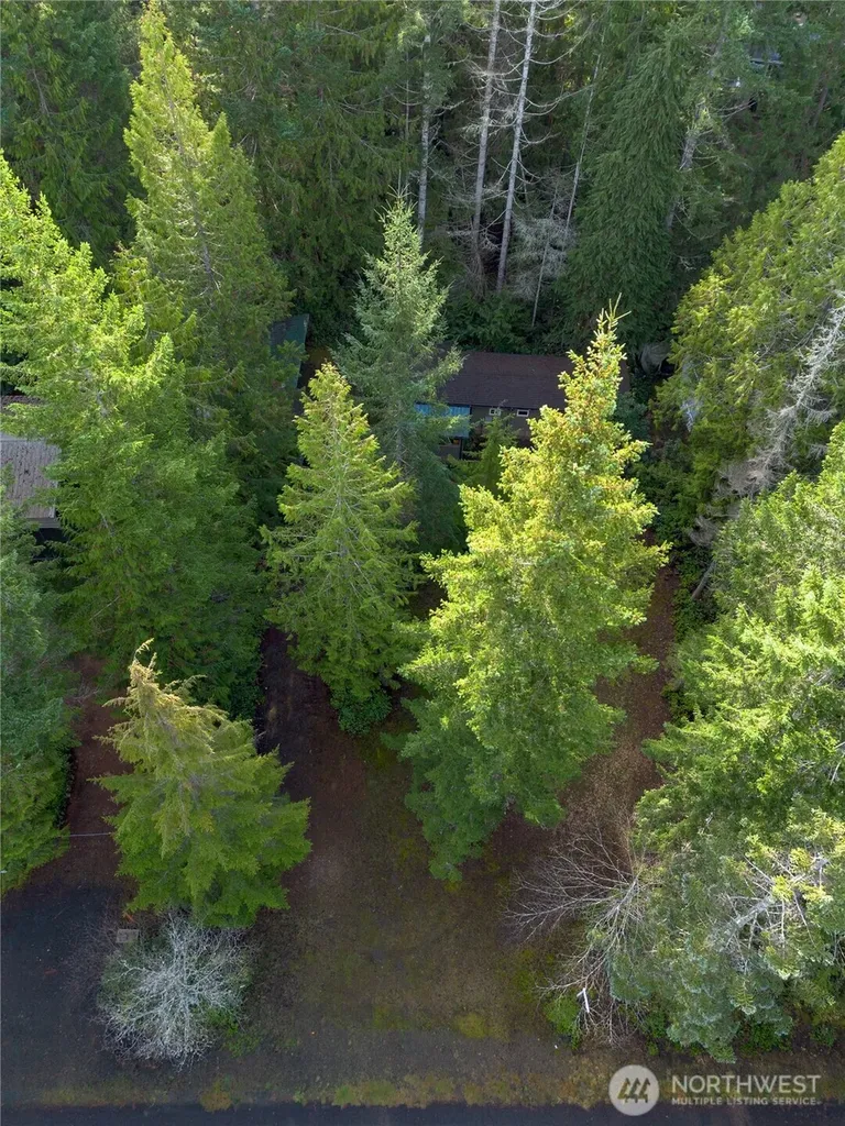 120 King Drive Brinnon WA 98320