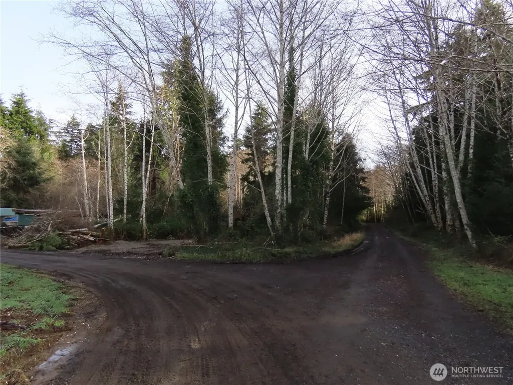 0 Oregon Lane Ocosta WA 98520