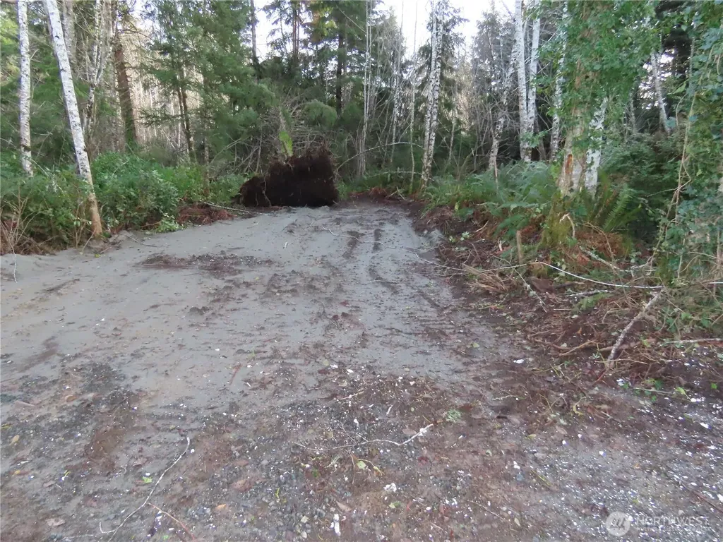0 Oregon Lane Ocosta WA 98520