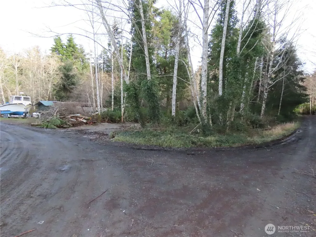 0 Oregon Lane Ocosta WA 98520