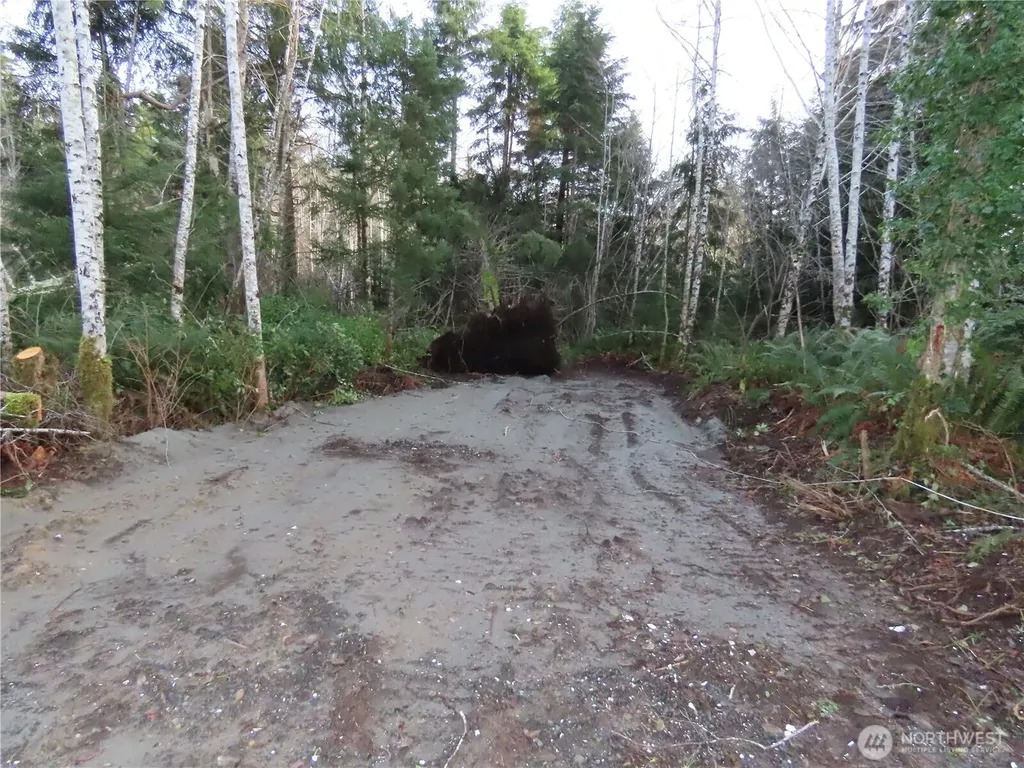 0 Oregon Lane Ocosta WA 98520