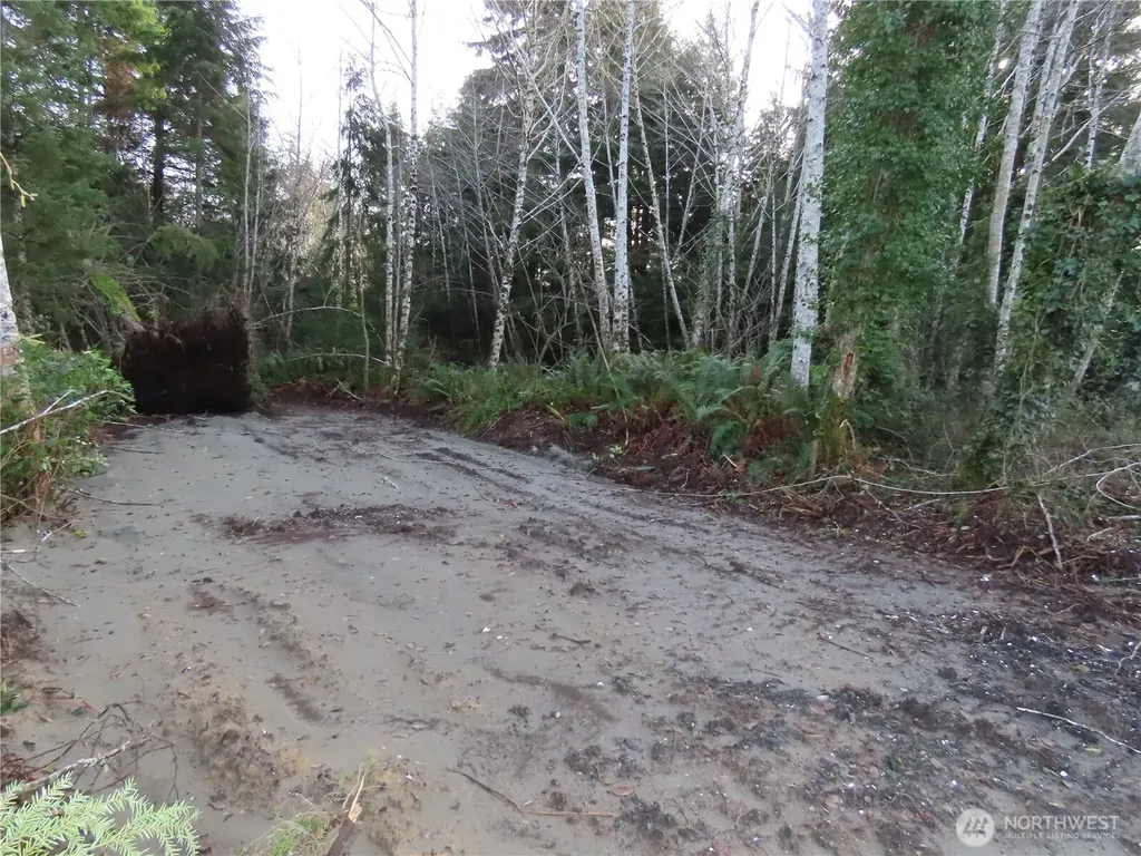 0 Oregon Lane Ocosta WA 98520