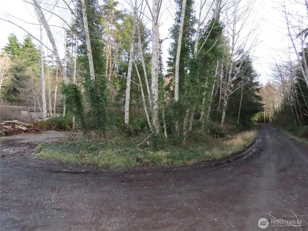 0 Oregon Lane Ocosta WA 98520