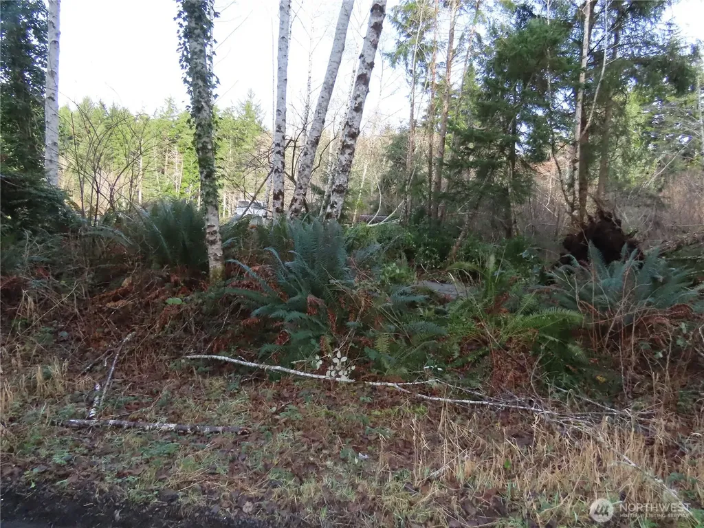 0 Oregon Lane Ocosta WA 98520