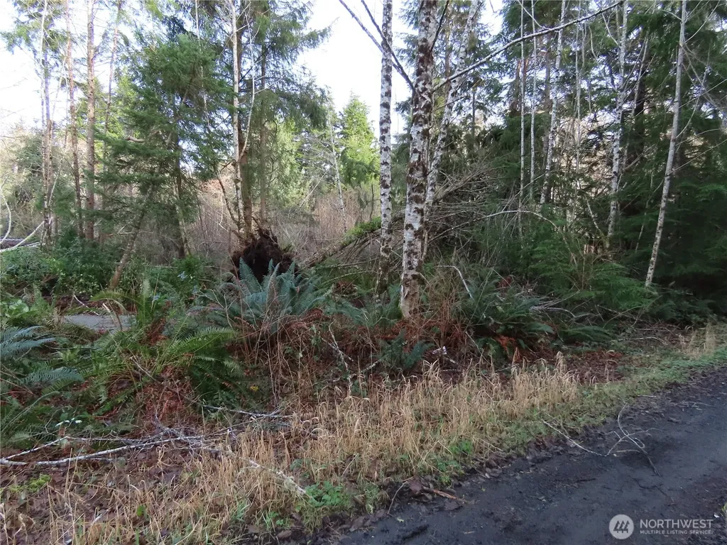 0 Oregon Lane Ocosta WA 98520
