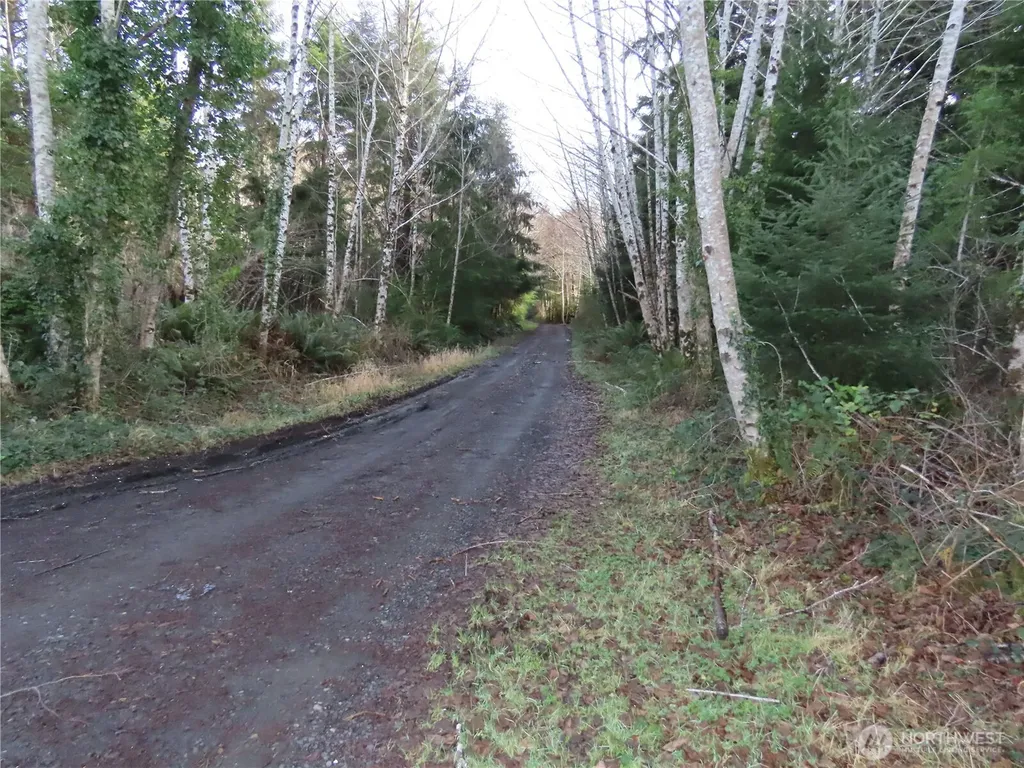 0 Oregon Lane Ocosta WA 98520