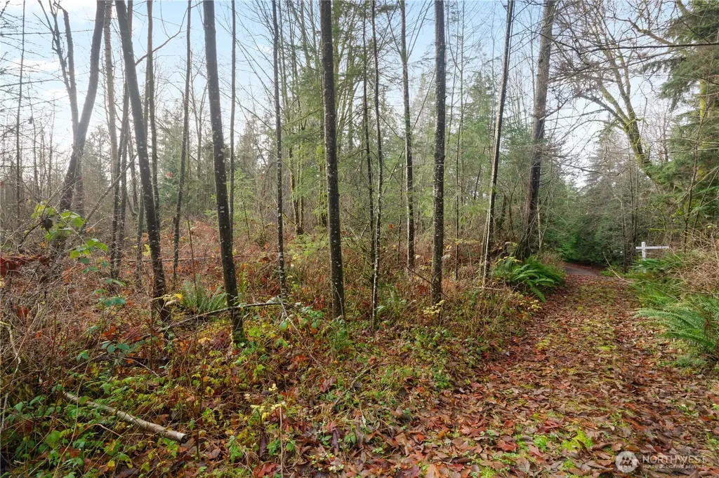 2031 Camber Lane Blaine WA 98230