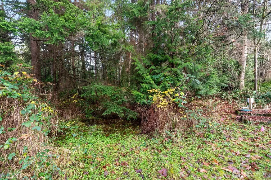 2031 Camber Lane Blaine WA 98230