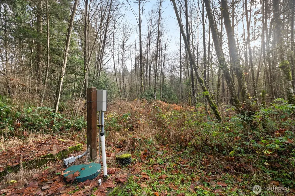 2031 Camber Lane Blaine WA 98230