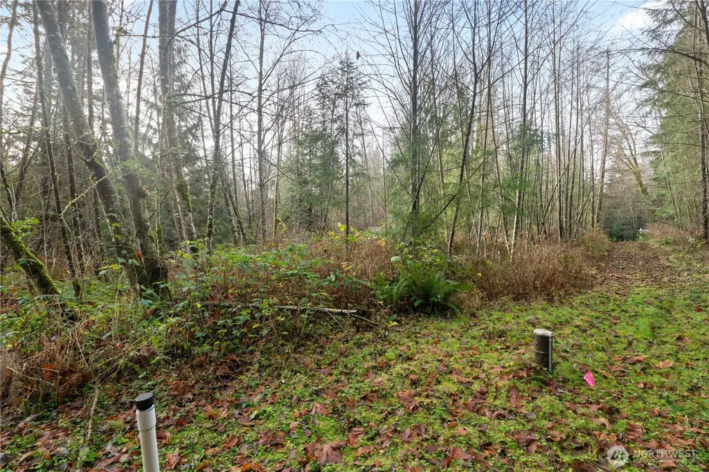 2031 Camber Lane Blaine WA 98230