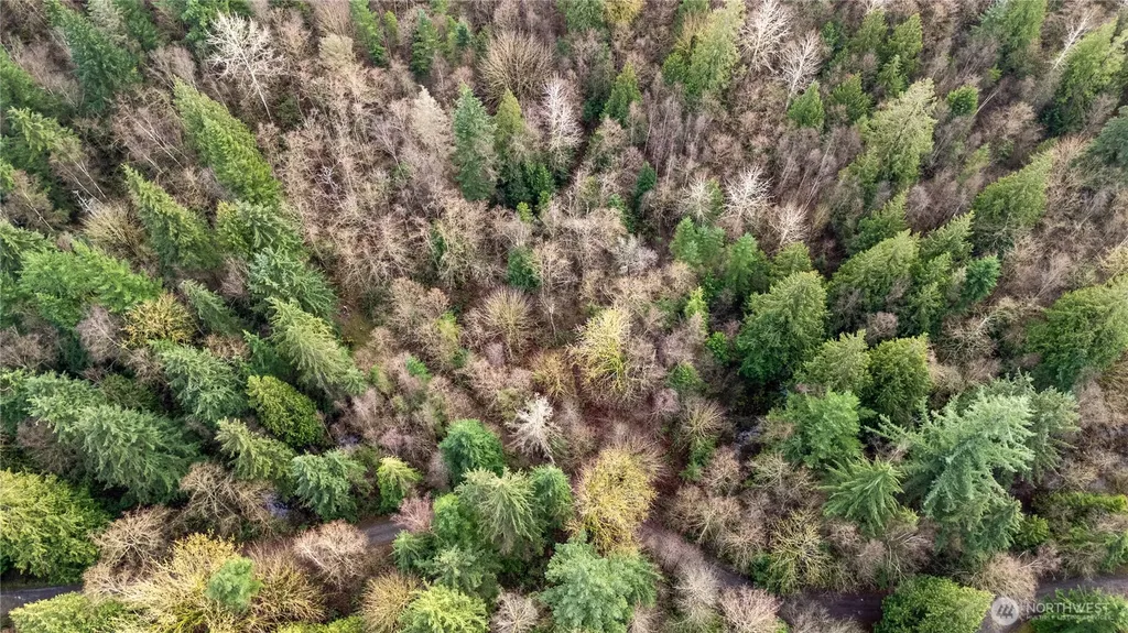 2031 Camber Lane Blaine WA 98230