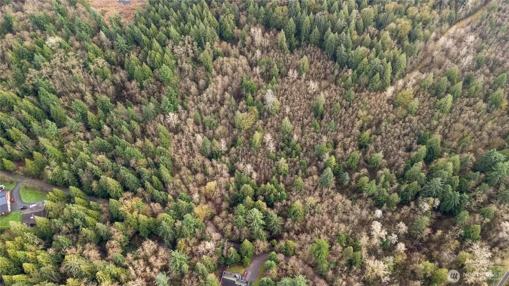 2031 Camber Lane Blaine WA 98230
